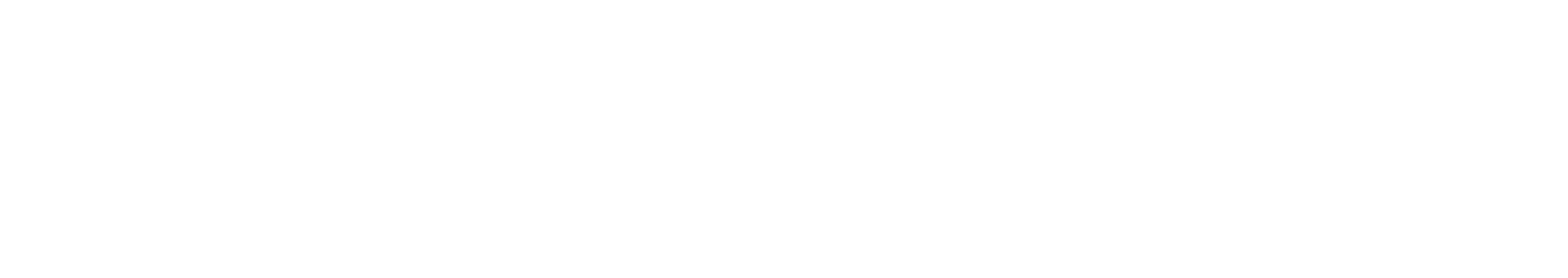 PlentyONE Systempartner